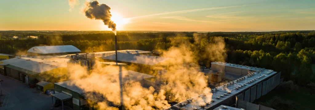 Termolegno wood drying ovens with forest